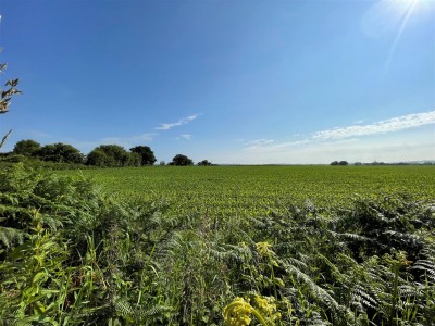 Images for News Lane, Rainford, St. Helens, WA11 7 EAID:DavidDaviesAPI BID:3